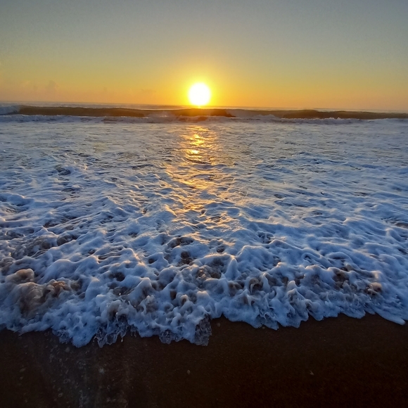 Meet your Posher, Chell - Picture 1 of 2